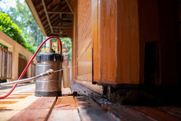 Best Pest Removal Services  in San Manuel, AZ